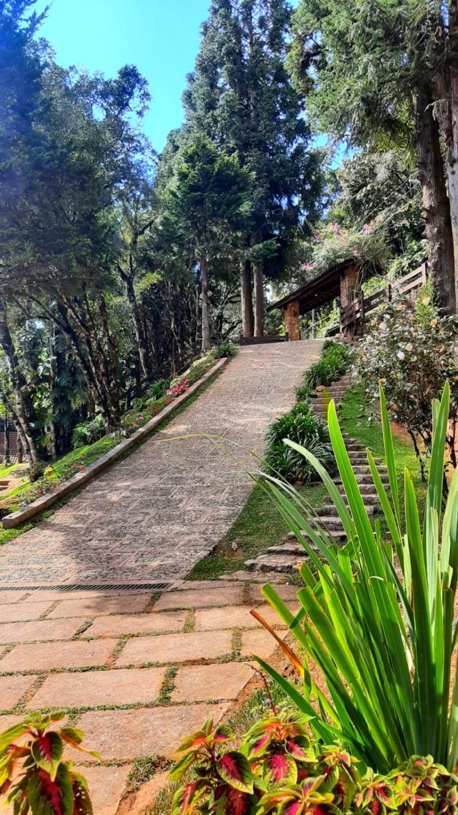Hotel Refúgio do Selado Monte Verde  Exterior foto