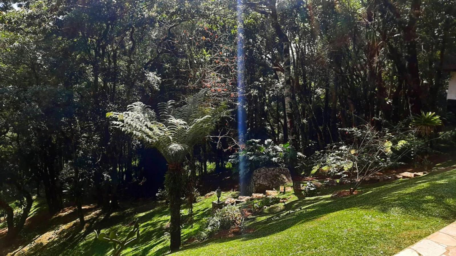 Hotel Refúgio do Selado Monte Verde  Exterior foto